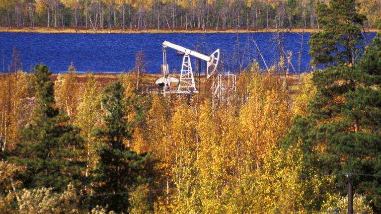 Министры ОПЕК+ обсудили ситуацию на рынке нефти — Daily Storm