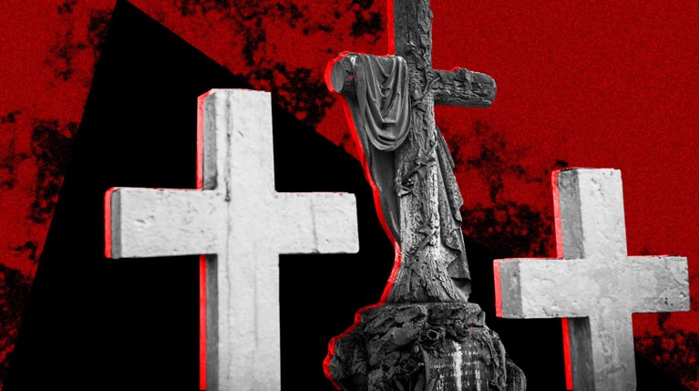 С помощью фейкового аккаунта Facebook в противостояние ритуальных контор втянули члена СПЧ и губернатора Московской области Коллаж: © Daily Storm