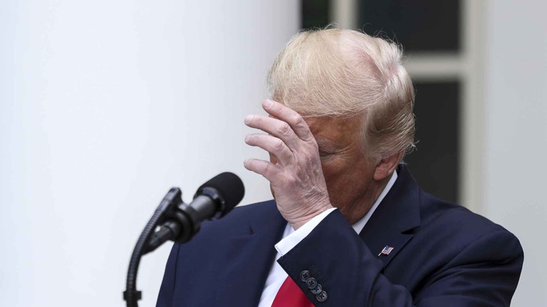 Twitter впервые пометил посты Трампа как фейковые — Daily Storm