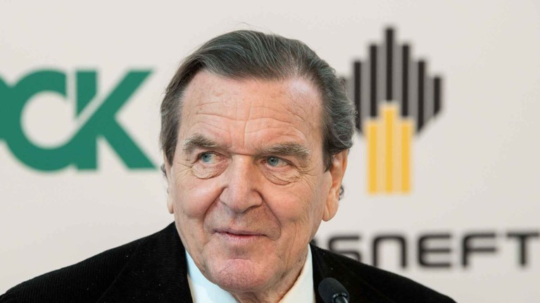 Шредер назвал «карликом» раскритиковавшего его посла Украины в Германии — Daily Storm