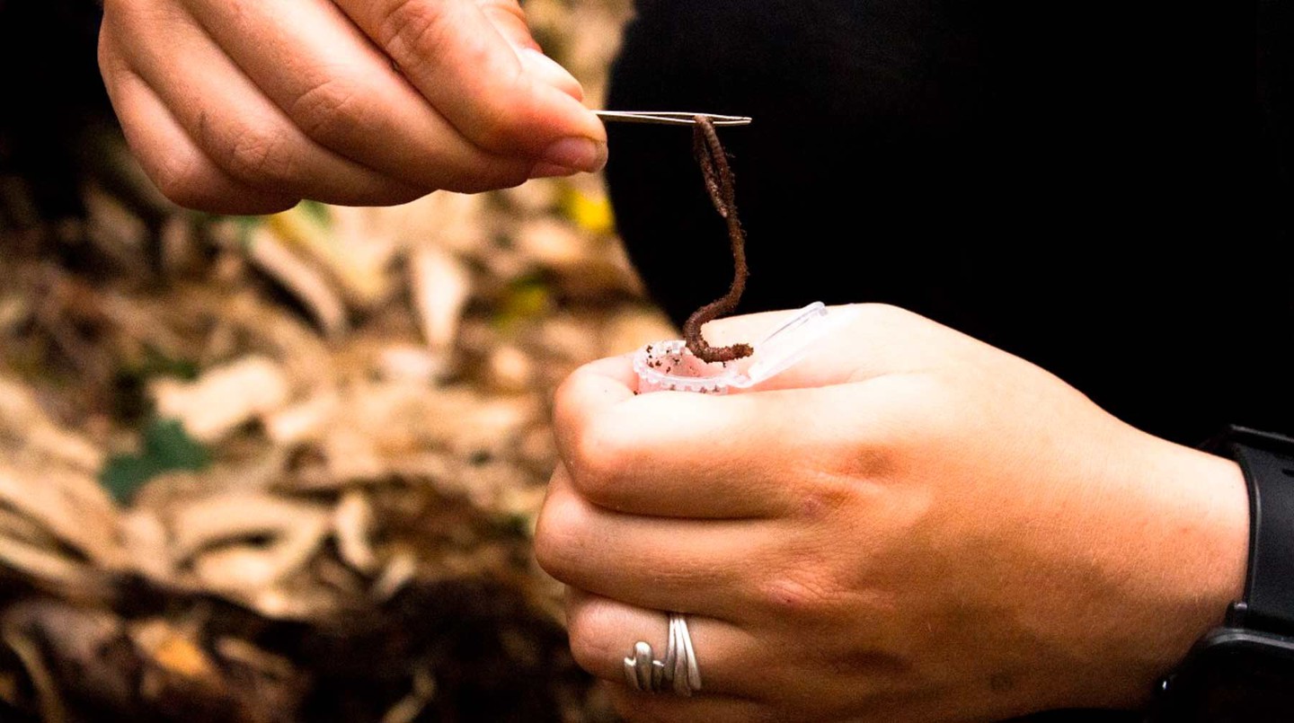 Фото: © Антон Юрманов