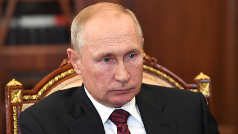 Путин поздравил Лукашенко с победой на выборах — Daily Storm