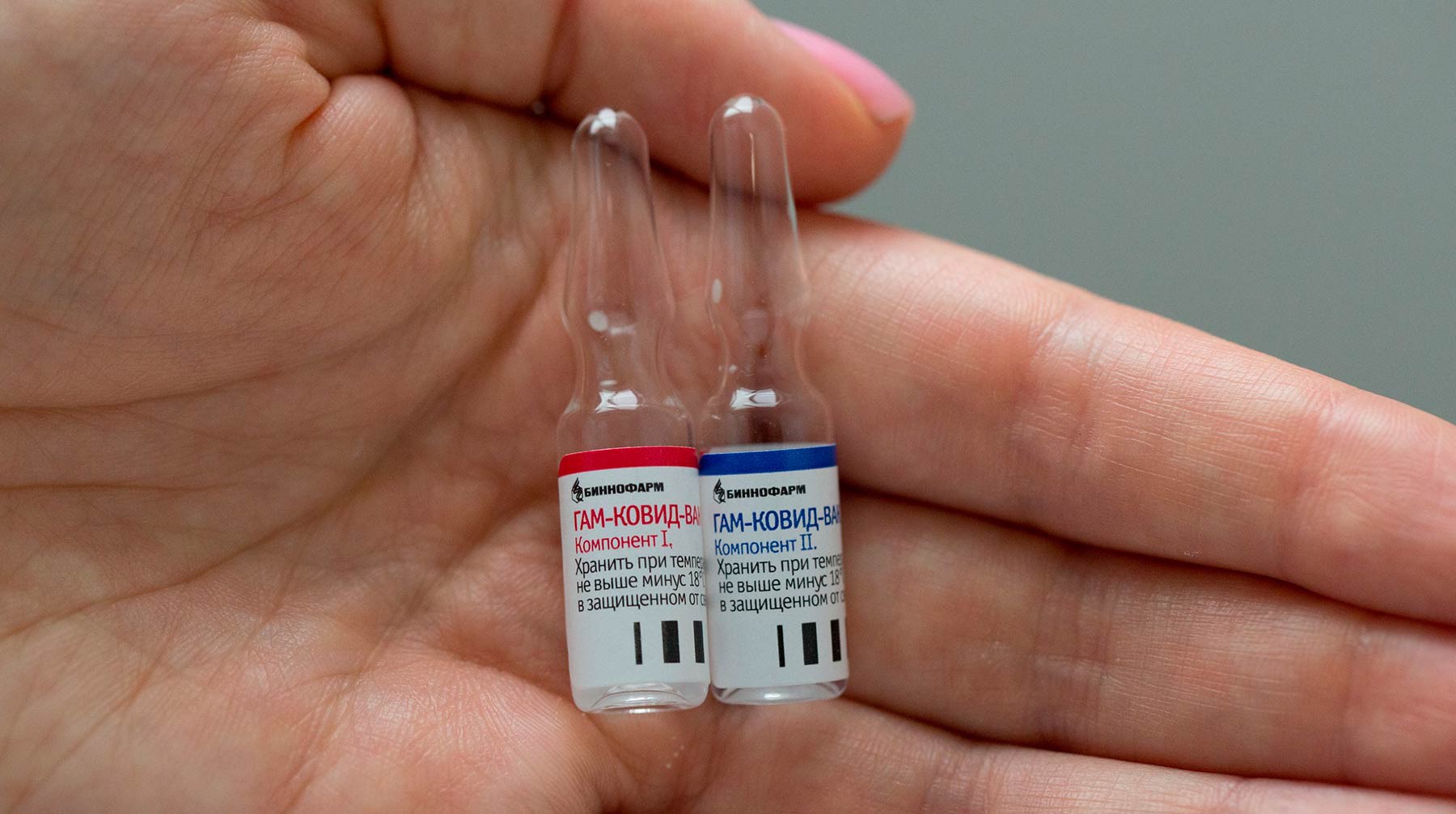 Dailystorm - Лукашенко решил испытать в Белоруссии российскую вакцину от коронавируса
