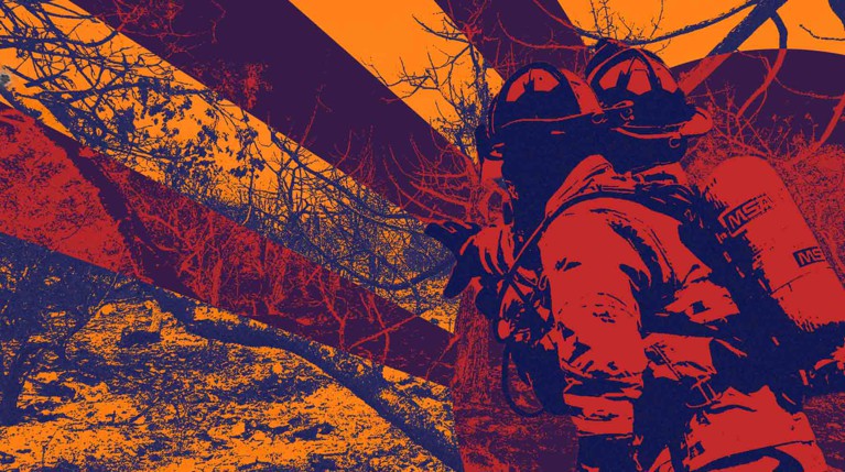 Экологи высказали свой взгляд на причины гибели десятков гектаров многовекового леса Коллаж: © Daily Storm