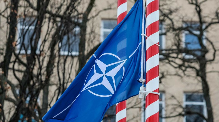 Генсек НАТО призвал Россию раскрыть программу производства «Новичка» — Daily Storm