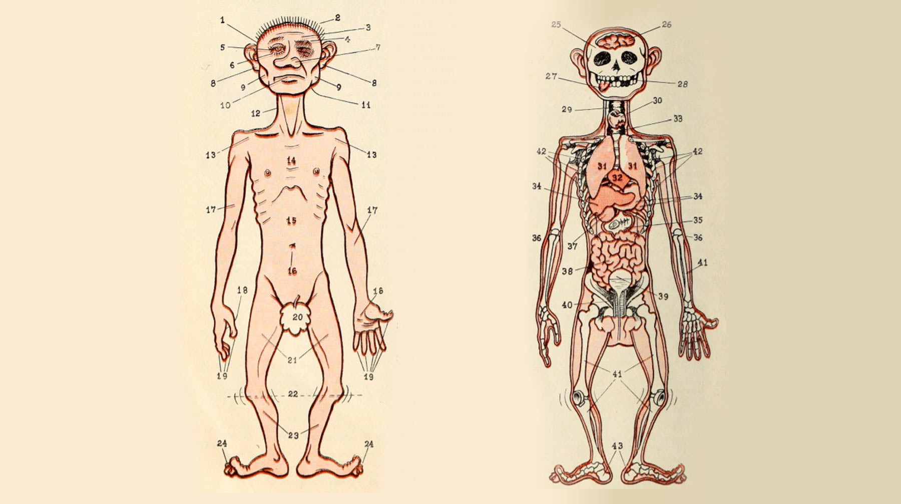 Фото: © Сатирикон. № 1 (Франкфурт-на-Майне, Мюнхен, 1951—1953)