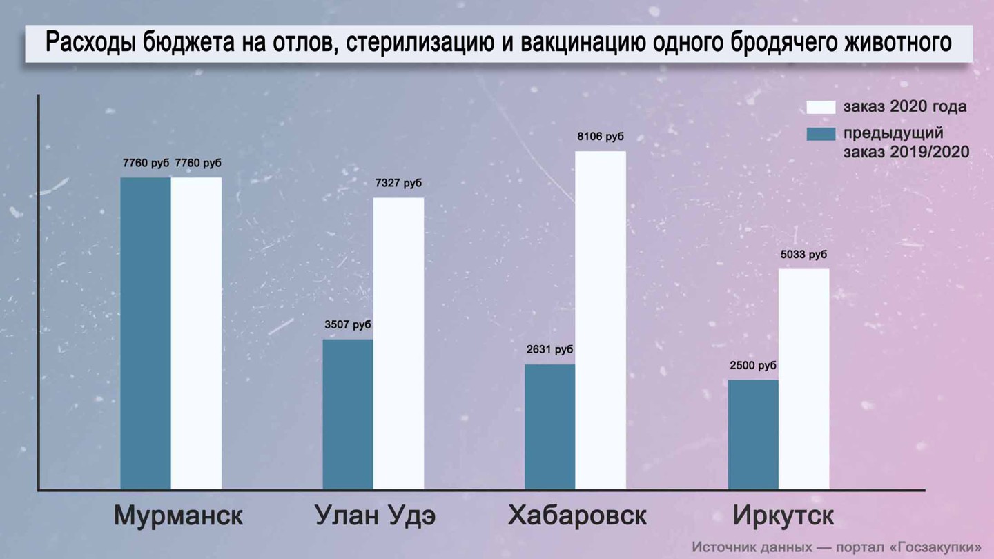 Инфографика: © Daily Storm