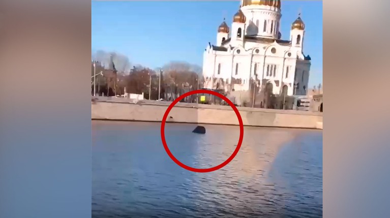 Раскрыты подробности о внедорожнике, утонувшем в Москве-реке напротив храма Христа Спасителя — Daily Storm