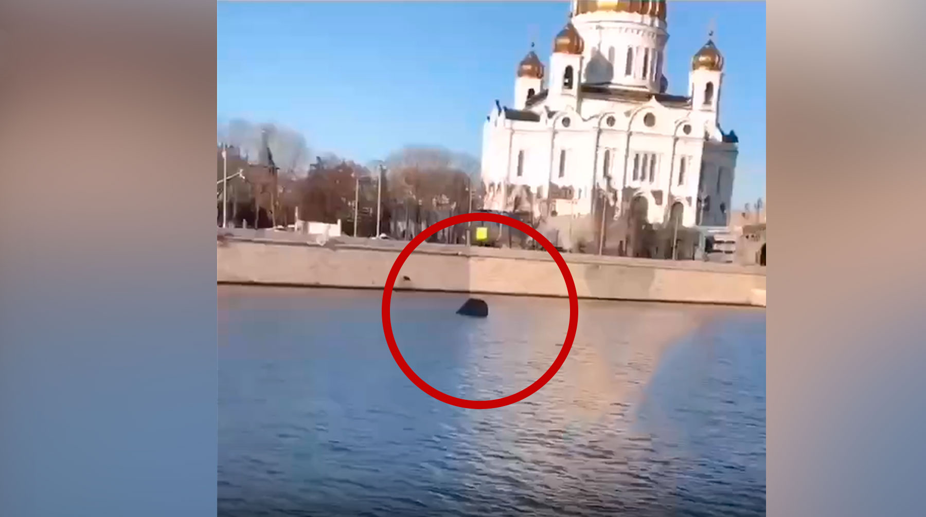 бассейн на месте храма христа спасителя в москве