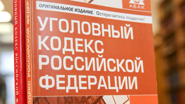 Один из участников конфликта задержан Фото: © Госдума РФ