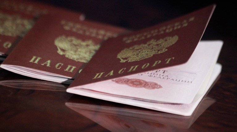 Документ будет размером с банковскую карточку, его дополнит мобильное приложение Фото: © АГН Москва / Сергей Ведяшкин