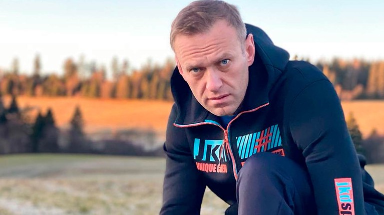Проверки Навального нет: СКР призвал не доверять анонимам, которые пиарят «отдельных персон» — Daily Storm