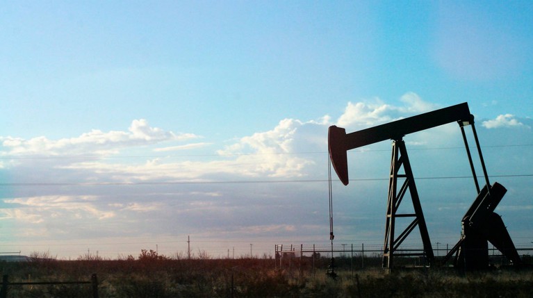 Члены ОПЕК+ увеличат добычу нефти на полмиллиона баррелей в сутки — Daily Storm