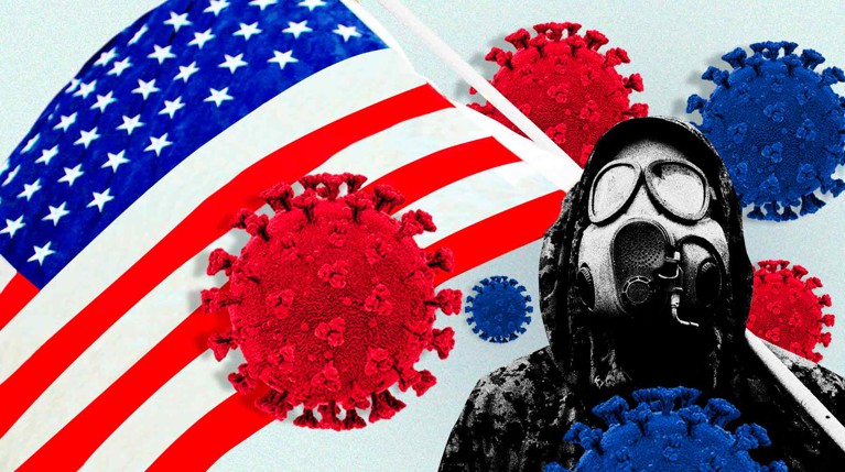 Русский биолог-инфекционист из США рассказал Daily Storm о сложностях работы в коронавирусное время