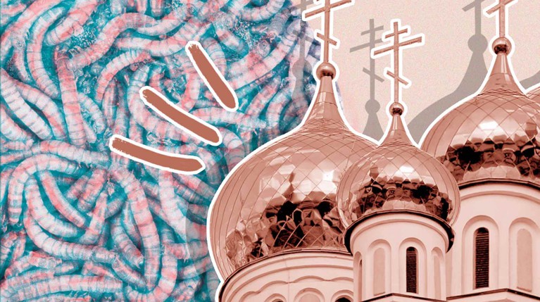 Насекомых можно есть в том числе и в Великий пост, считают священники и богословы