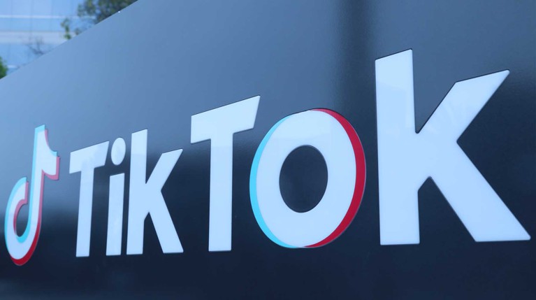 Роскомнадзор потребовал от TikTok удалить ролики с призывами выходить на митинги — Daily Storm