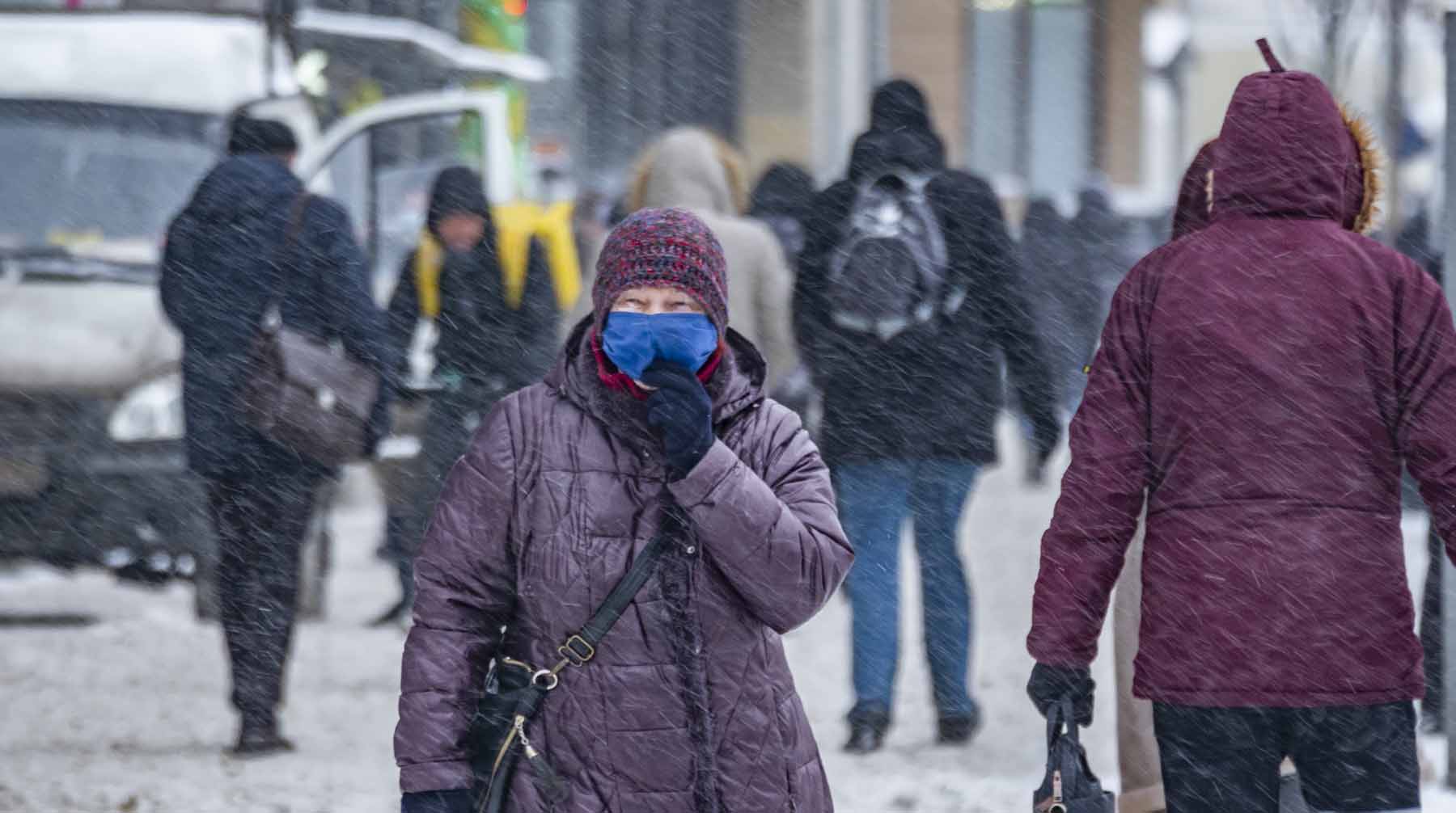 Появление стандартного штамма улучшит тест-системы для выявления COVID-19, отметили в Минздраве РФ Фото: © Global Look Press /  Константин Кокошкин