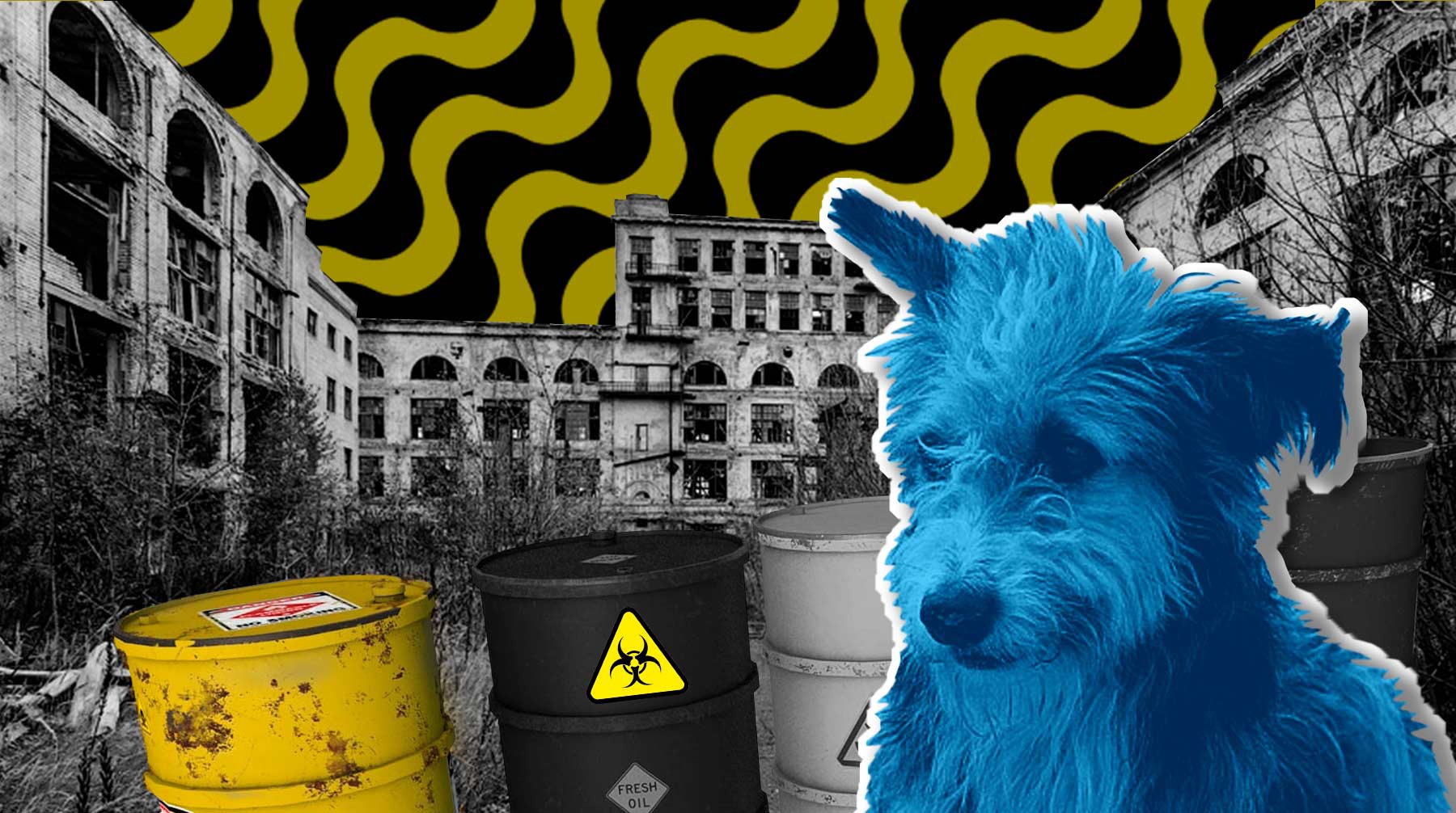 Dailystorm - Голубые собаки. Кто виноват и что на самом деле произошло в Дзержинске