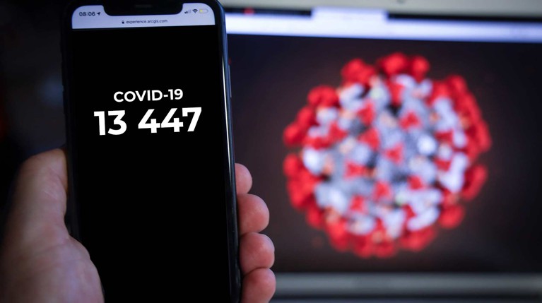 В России за сутки выявили 13 447 новых случаев COVID-19 — Daily Storm