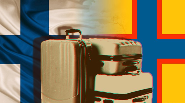 Коренные жители Ленобласти борются с непониманием чиновников и стараются сохранить идентичность. Репортаж Daily Storm Коллаж: © Daily Storm