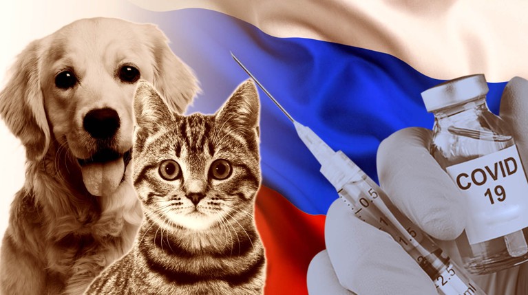 Россия зарегистрировала первую в мире вакцину от COVID-19 для животных — Daily Storm