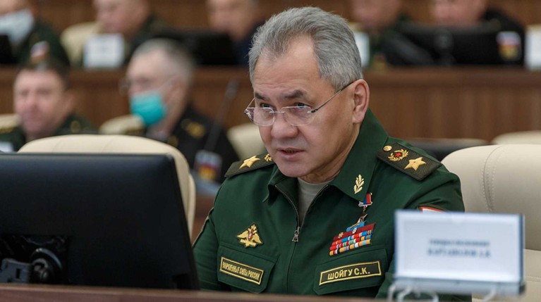 Можем спокойно наблюдать за учениями НАТО: военный эксперт оценил слова Шойгу об армии — Daily Storm