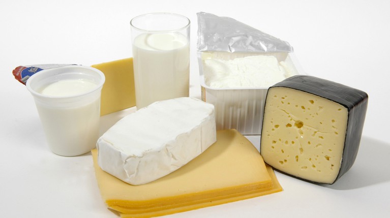 Натуральные молочные продукты и свежие овощи — на новой ярмарке в Вешняках — Daily Storm