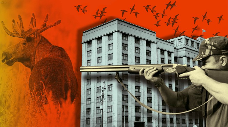 Новые поправки порадовали любителей сходить на кабана, а экологи и зоозащитники заявляют, что их мнение не выслушали