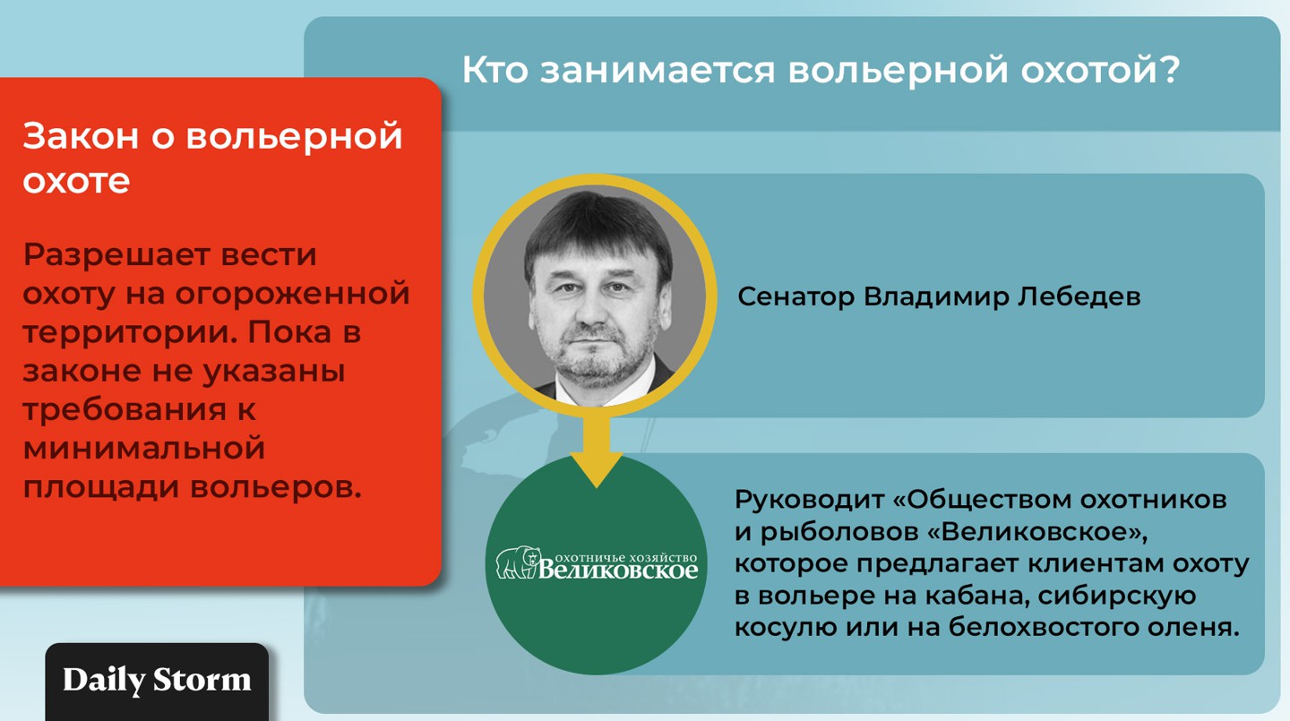 Инфографика:  Daily Storm