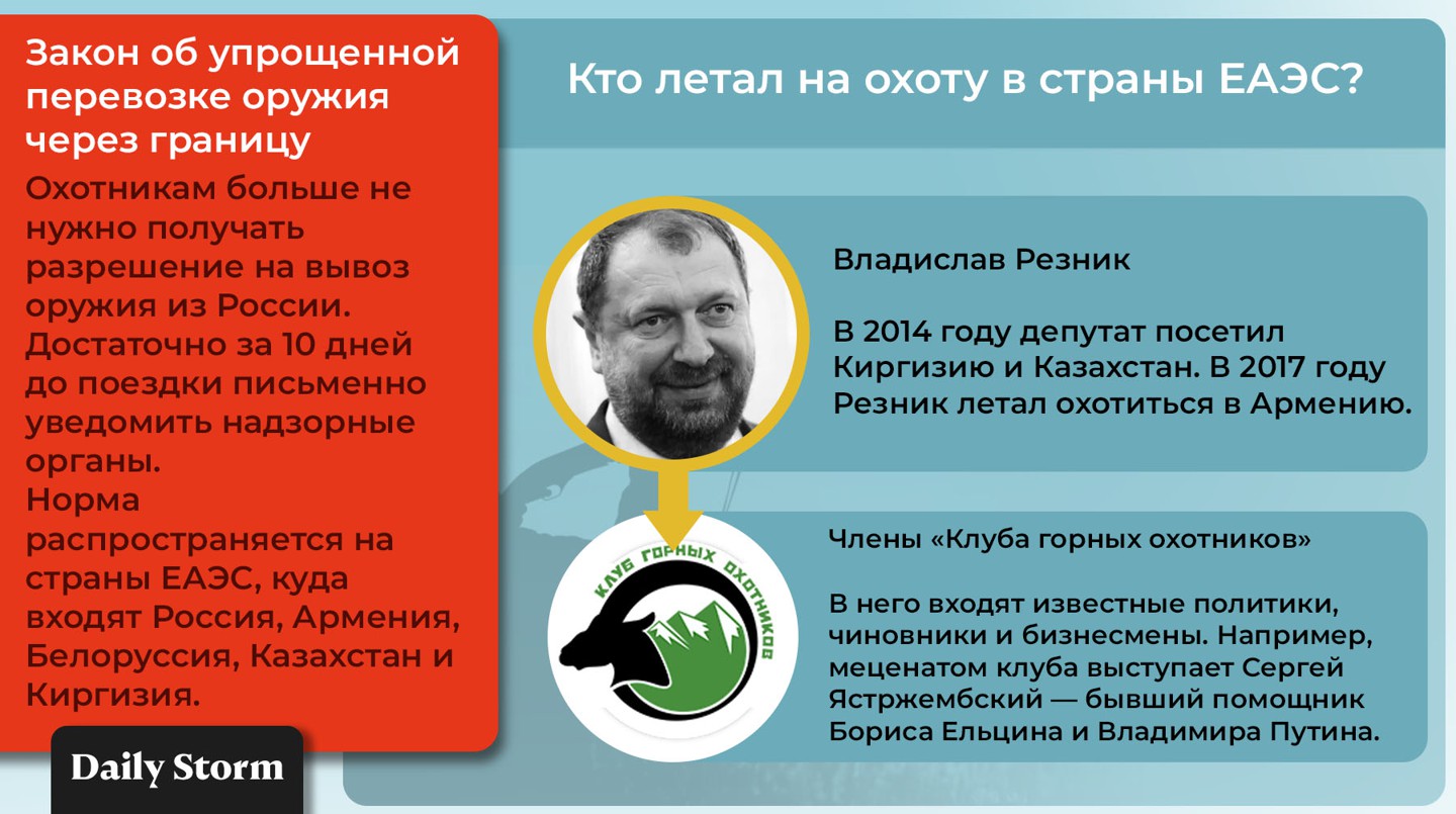 Инфографика:  Daily Storm