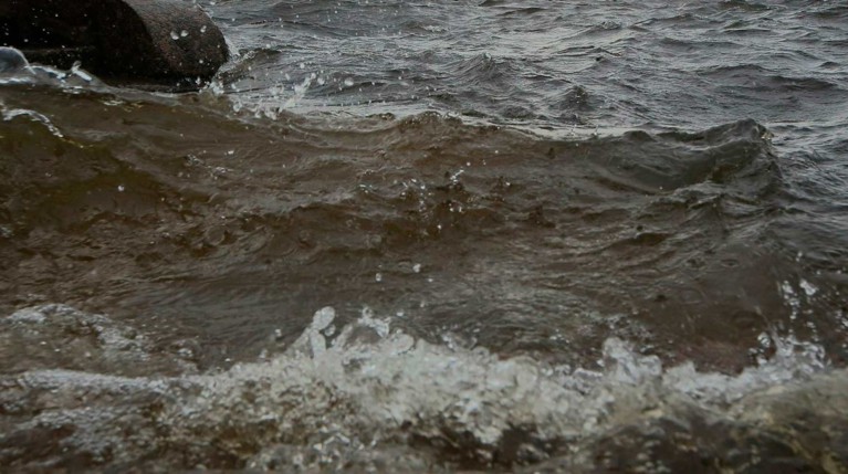 Под Самарой теплоход «Барракуда» буксировал судно и затонул — видео — Daily Storm