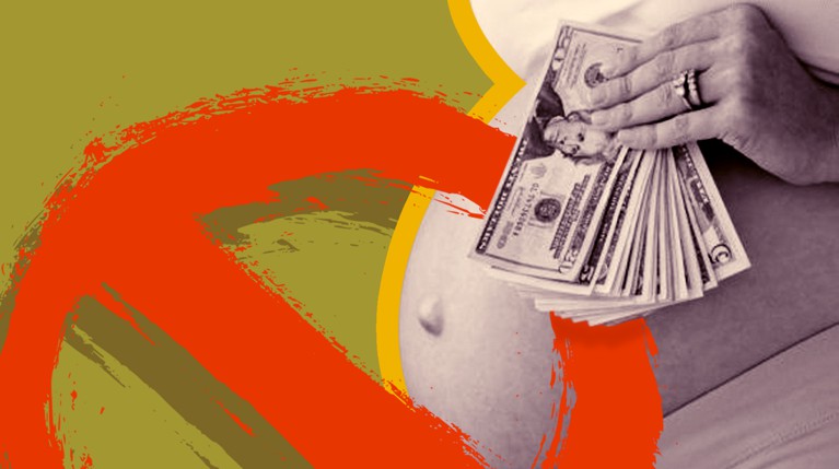 В Ассоциации репродукции поддержали закон о запрете суррогатного материнства «на экспорт» — Daily Storm