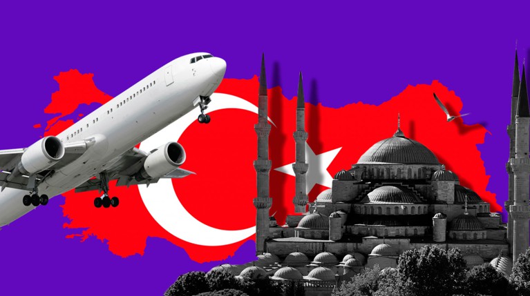 С 28 июня также откроются полеты в США, Бельгию, Болгарию и ряд других стран Коллаж: Daily Storm