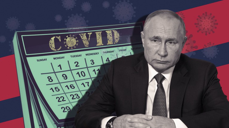 Путин объявил о нерабочей неделе с 30 октября по 7 ноября — Daily Storm