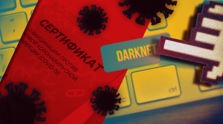 «Работаем в поте лица»: в даркнете вырос спрос на сертификаты о вакцинации от COVID-19 на фоне новых коронавирусных ограничений — Daily Storm