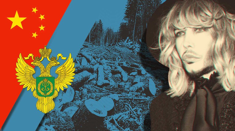 Егерям — достойные зарплаты, нарушителям — строгое наказание, ответственность перенести с регионов на федералов Коллаж: Daily Storm