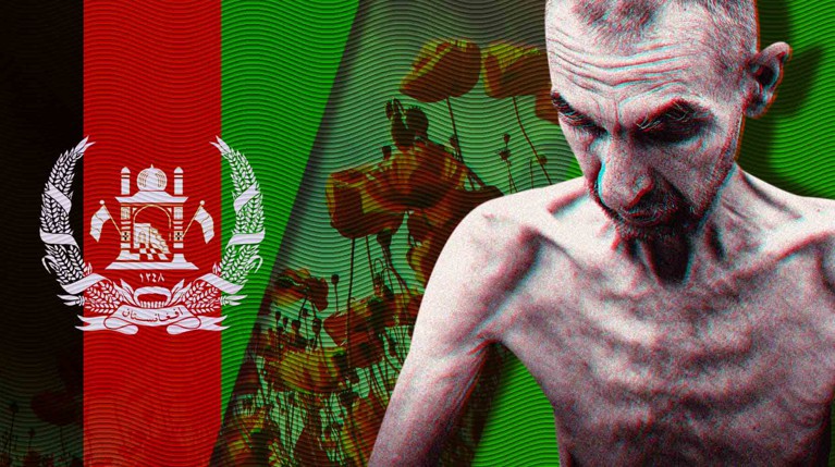 Голод вынудил исламистов продавать героин: «русский афганец» рассказал о жизни народа при Талибане — Daily Storm