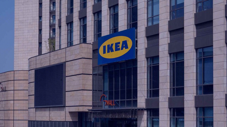 Депутат Госдумы Арефьев предложил новому владельцу IKEA в России переименовать ее в «Простую сборку» — Daily Storm