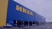 Депутат Госдумы Нилов пригрозил IKEA прокуратурой из-за плачущихся бывших работников компании в Ленобласти