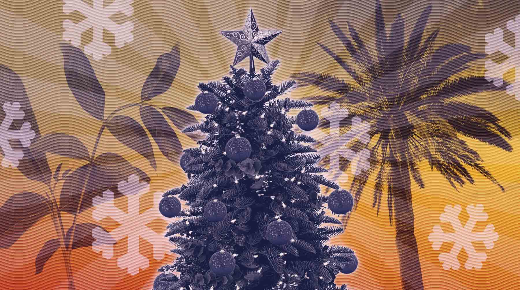 Ореховое дерево, кипарисы и пальмы. Что вместо елок украшают на Новый год в других странах