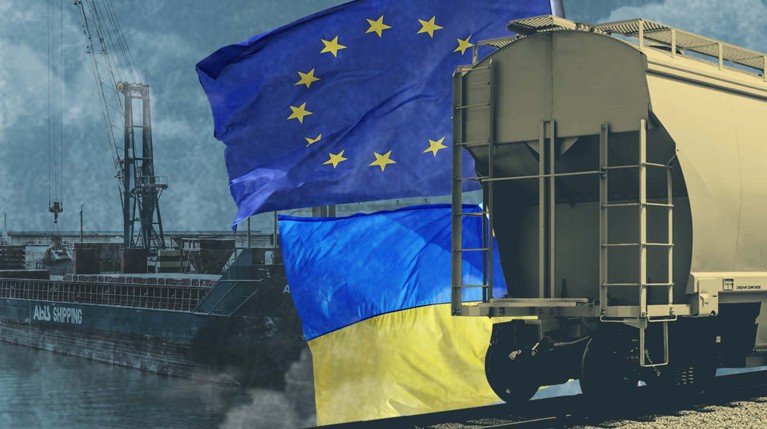 Почему Европа не может помочь Украине с вывозом зерна — Daily Storm