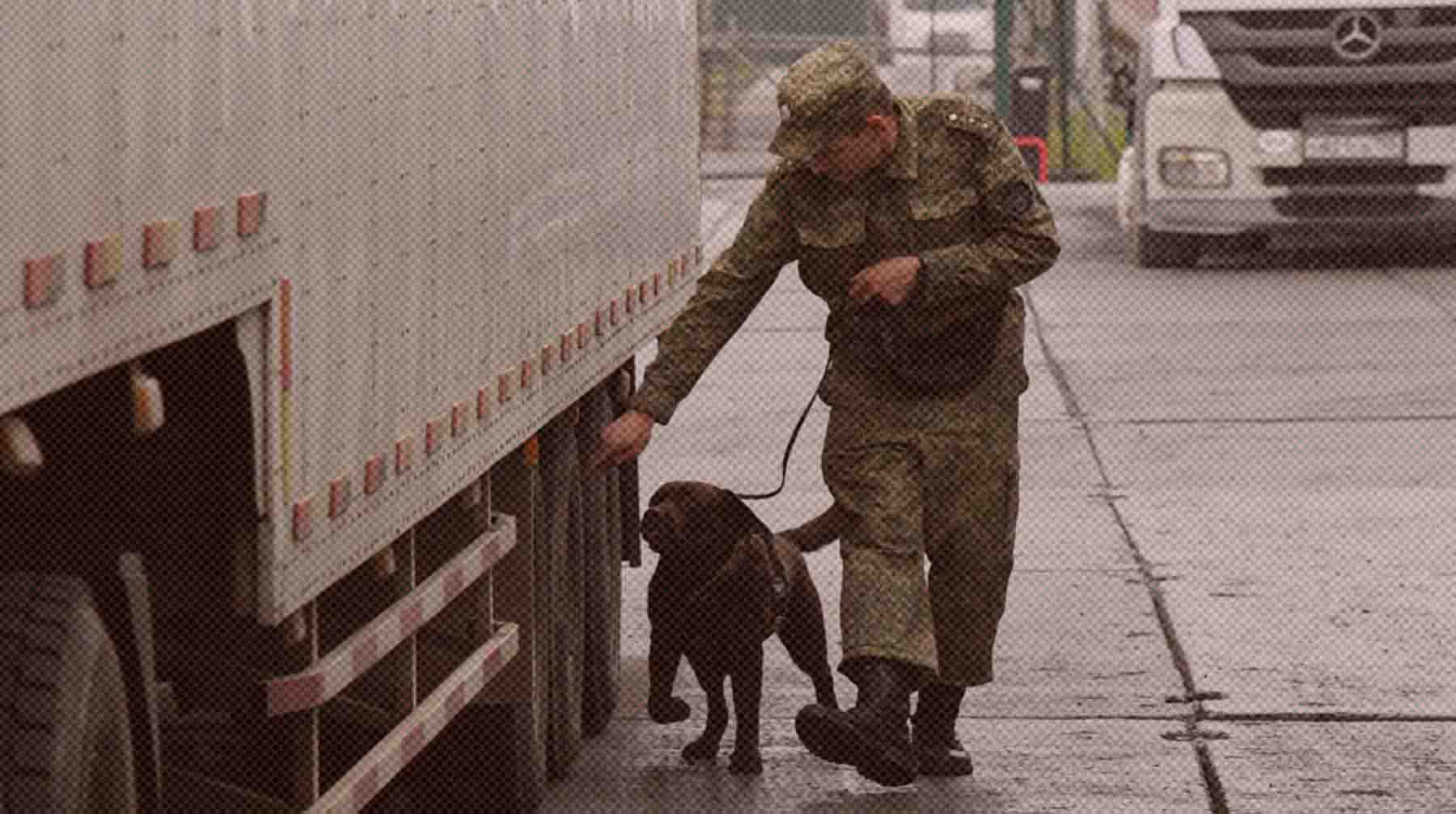 Большинство запрещенных вещей пытаются провезти через границу РФ на машинах Фото: РИА Новости / Виталий Аньков