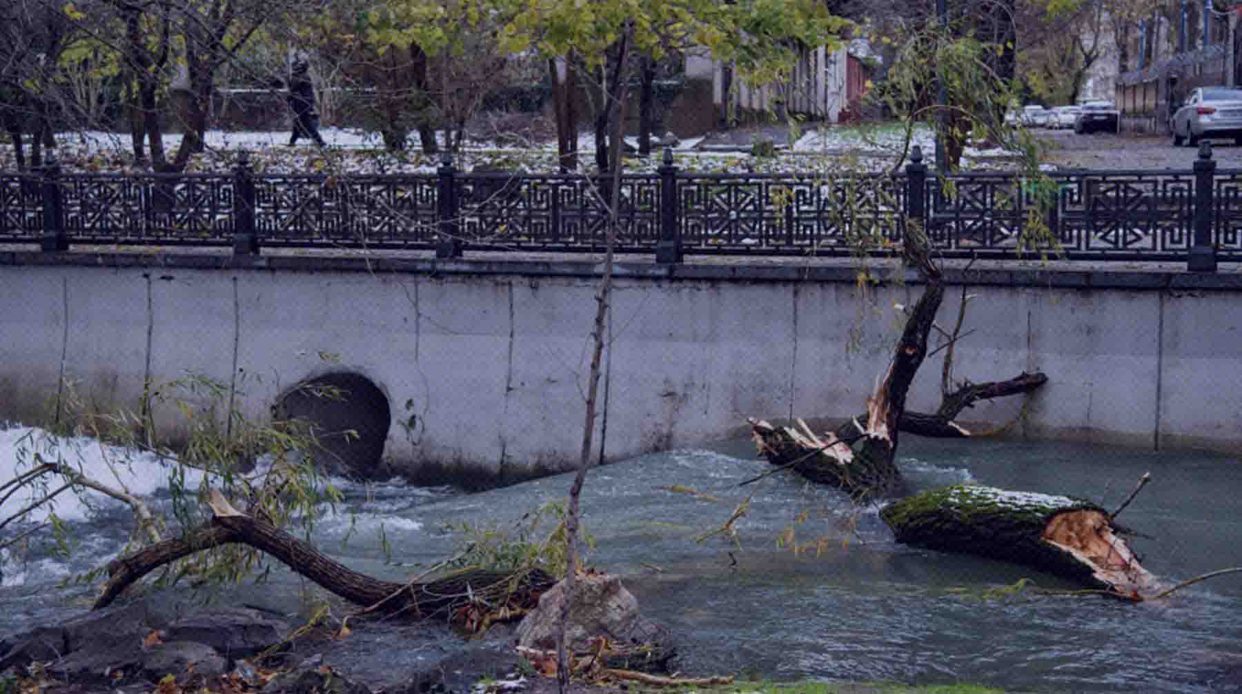 Dailystorm - Мегашторм в Крыму и на Кубани: море вышло из берегов, ураган срывает крыши с домов и валит деревья