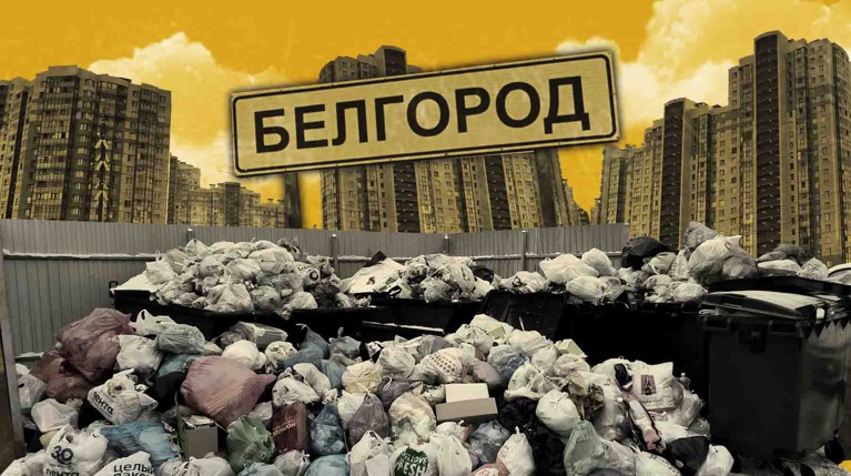 Сотрудники ответственной за вывоз отходов компании рассказали, почему регион утопает в свалках Коллаж: Daily Storm