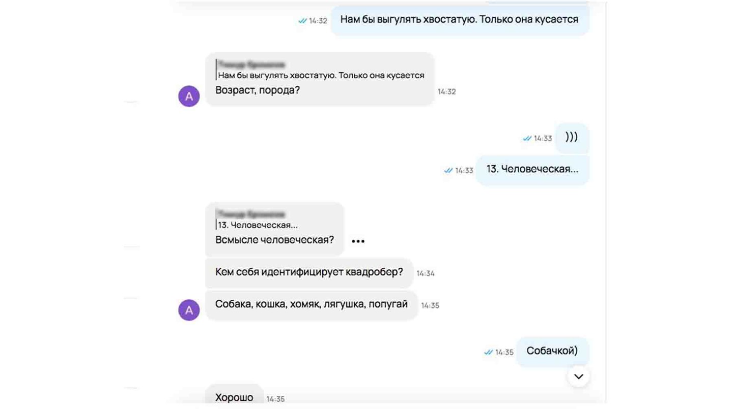 Скриншот: Daily Storm