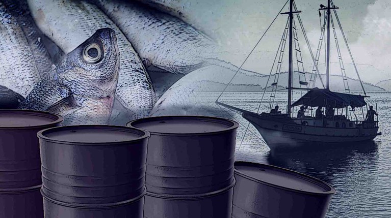 Рыбаки рассказали, что свежевыловленные морепродукты из Черного моря до сих пор продают на местных рынках и по заказу — Daily Storm