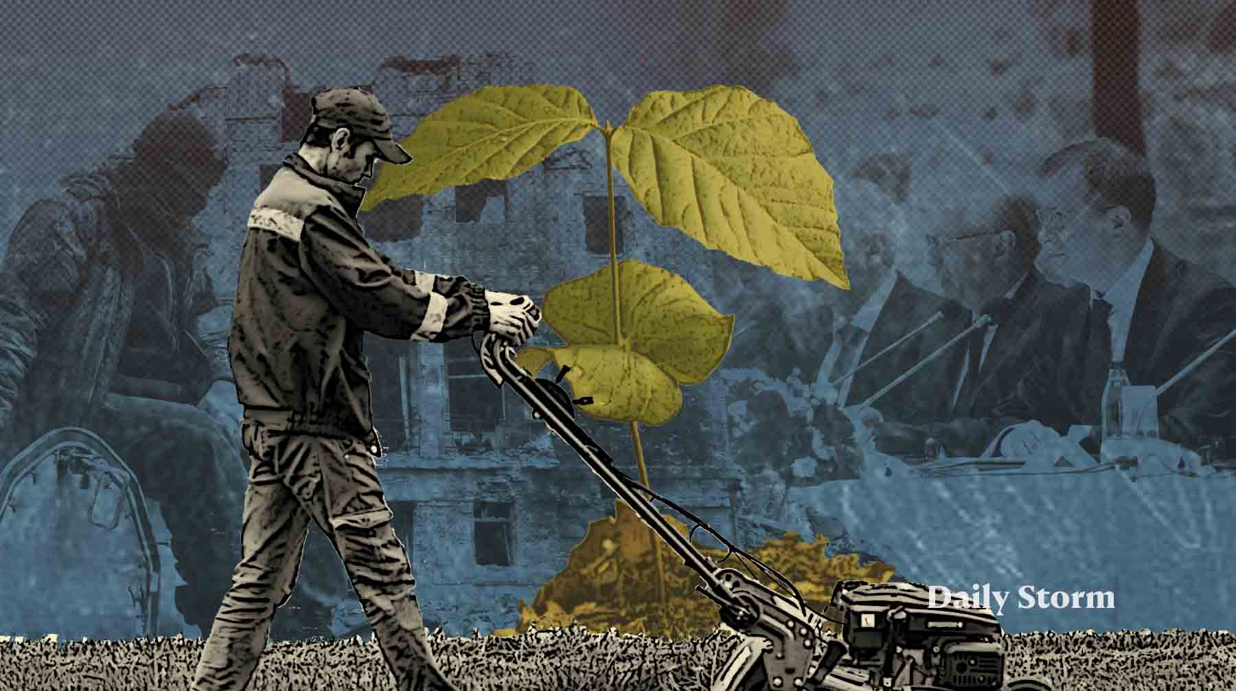 Он подумал, что это трава, и снес ее своей косилкой Коллаж: Daily Storm