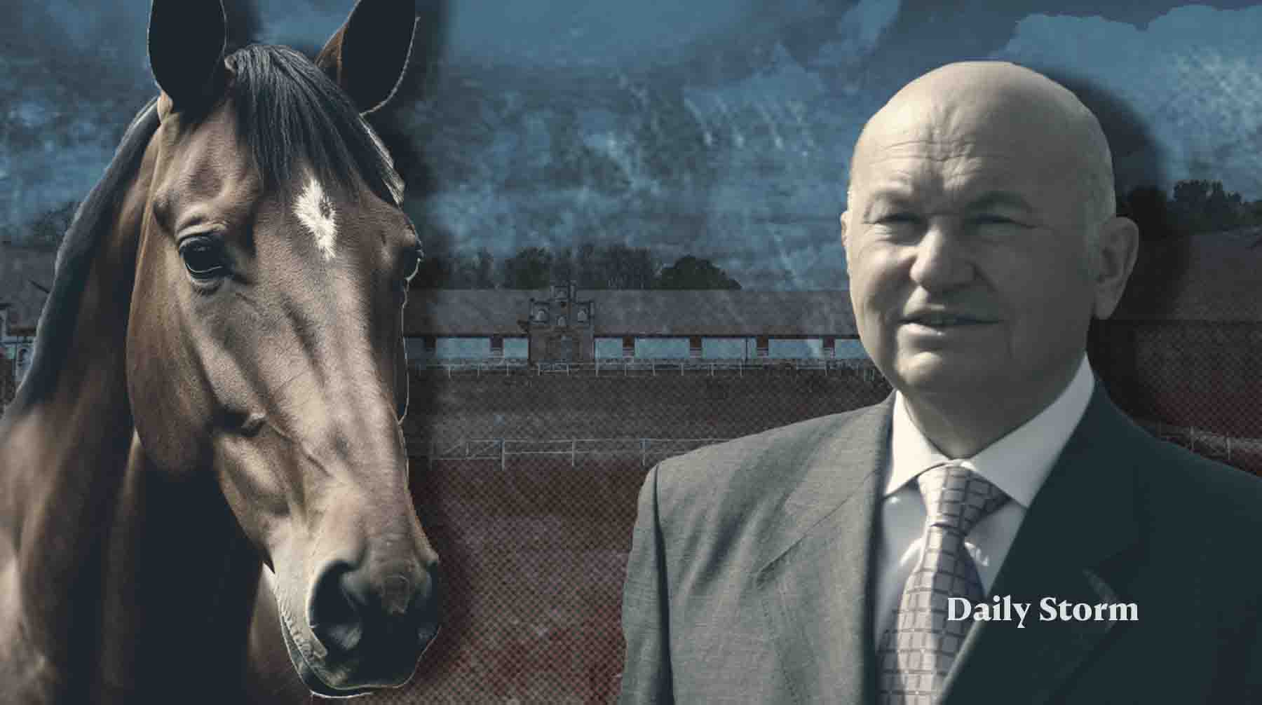 В 2024 году компания экс-мэра Москвы показала чистую прибыль свыше 200 миллионов рублей Коллаж: Daily Storm