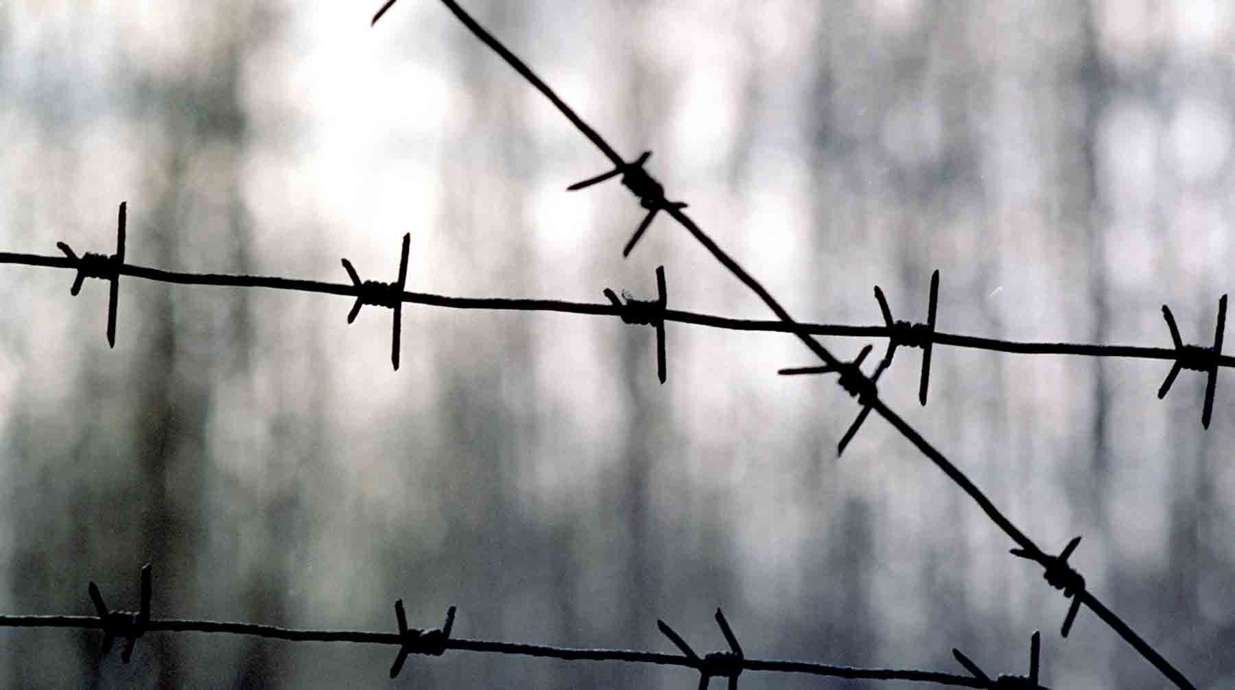 Фото: Global Look Press / Виталий Иванов