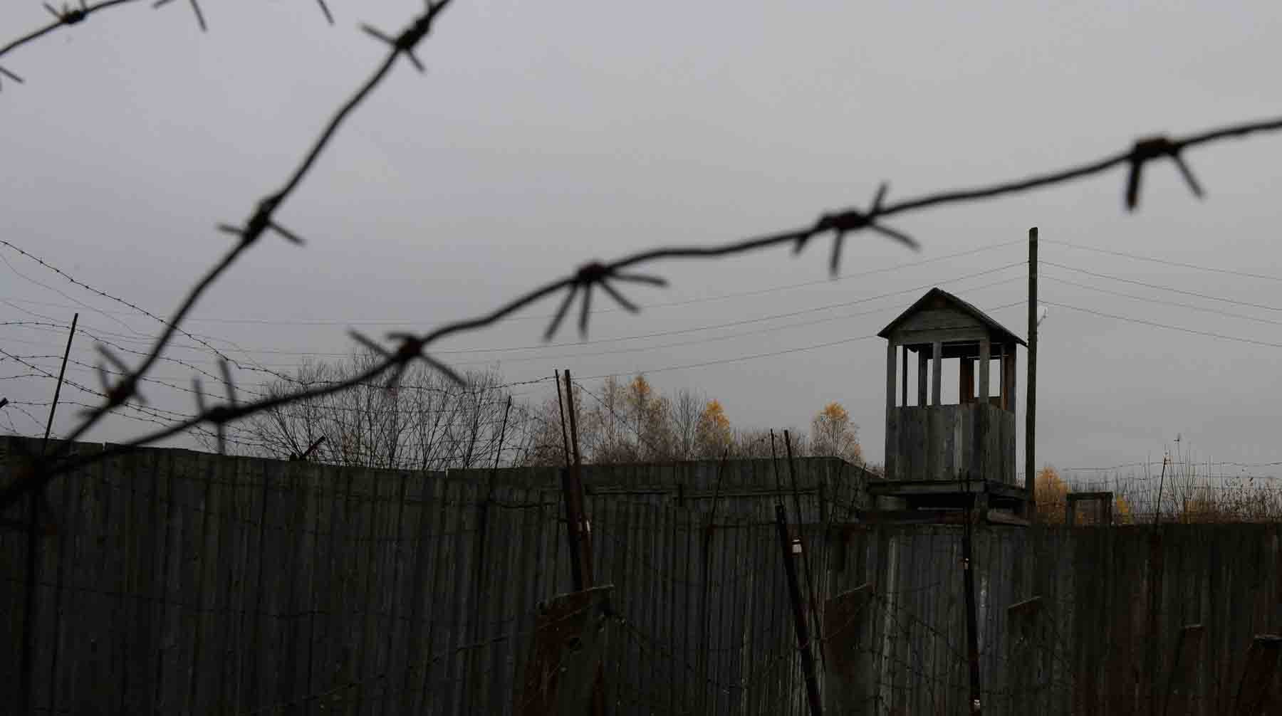 Фото: Global Look Press / Дмитрий Часовитин